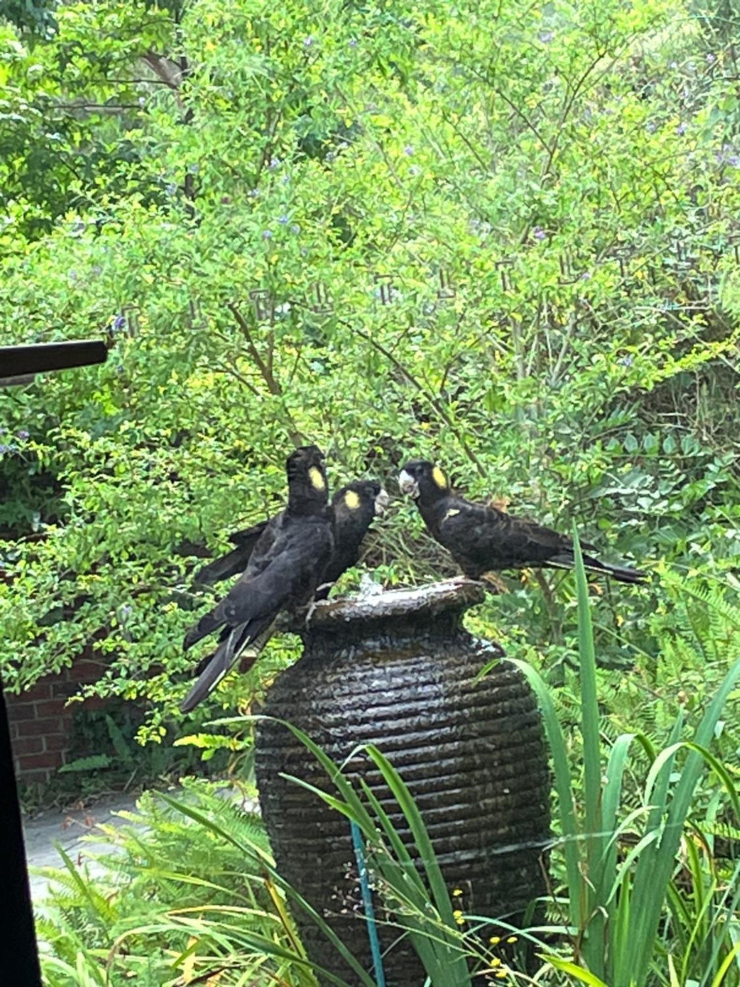 Yarra Ranges Country Apartment Mount Evelyn 外观 照片