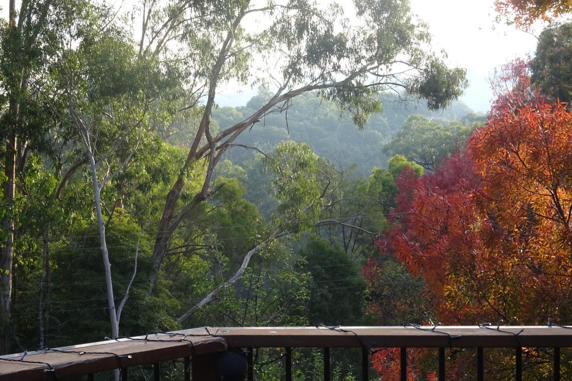Yarra Ranges Country Apartment Mount Evelyn 外观 照片