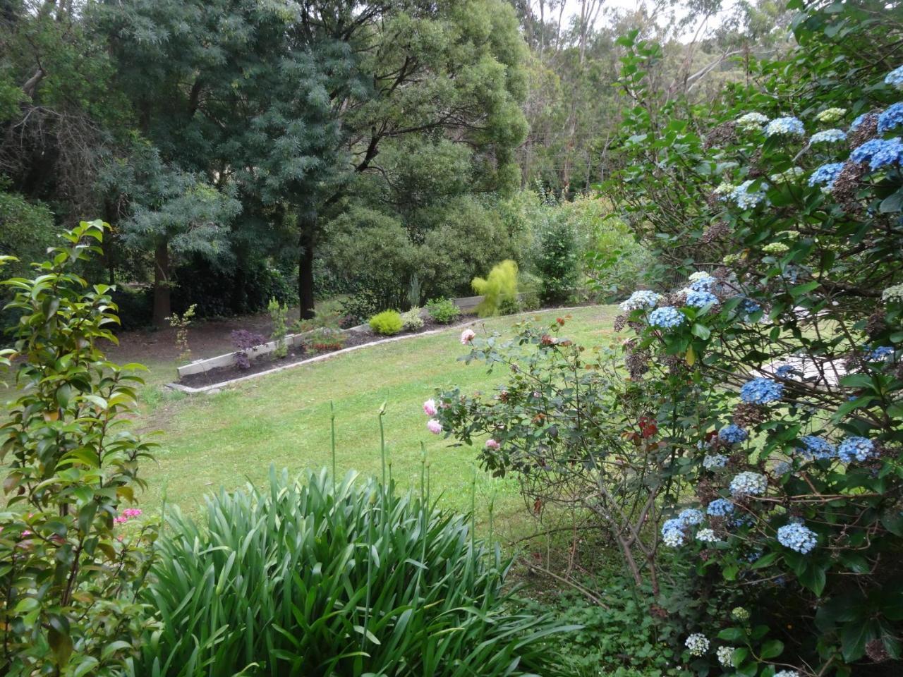 Yarra Ranges Country Apartment Mount Evelyn 外观 照片