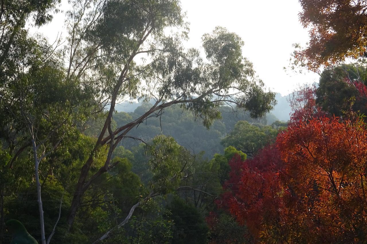 Yarra Ranges Country Apartment Mount Evelyn 外观 照片
